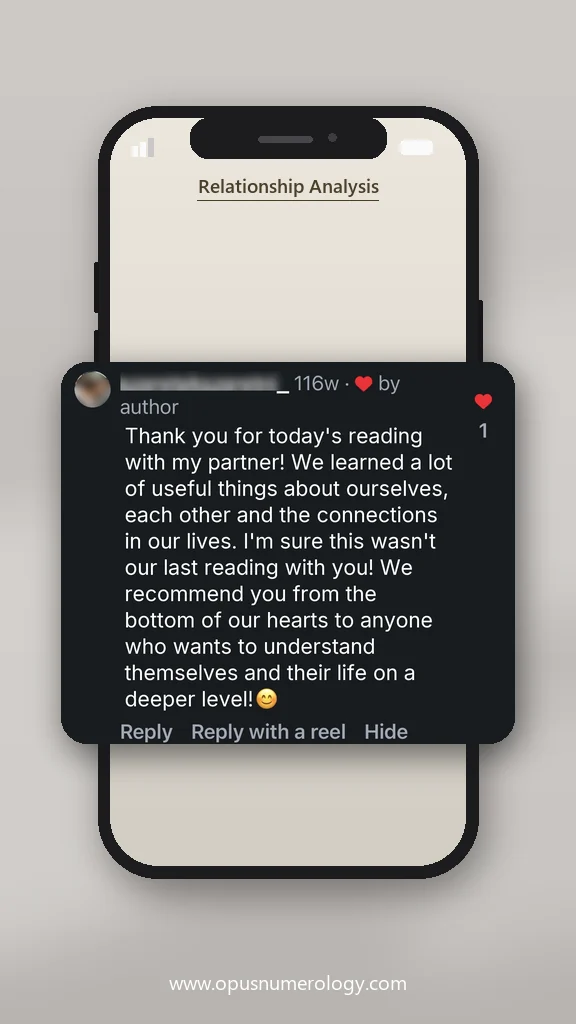Client review of an Opus numerology reading (message screenshot) – 20 / 38