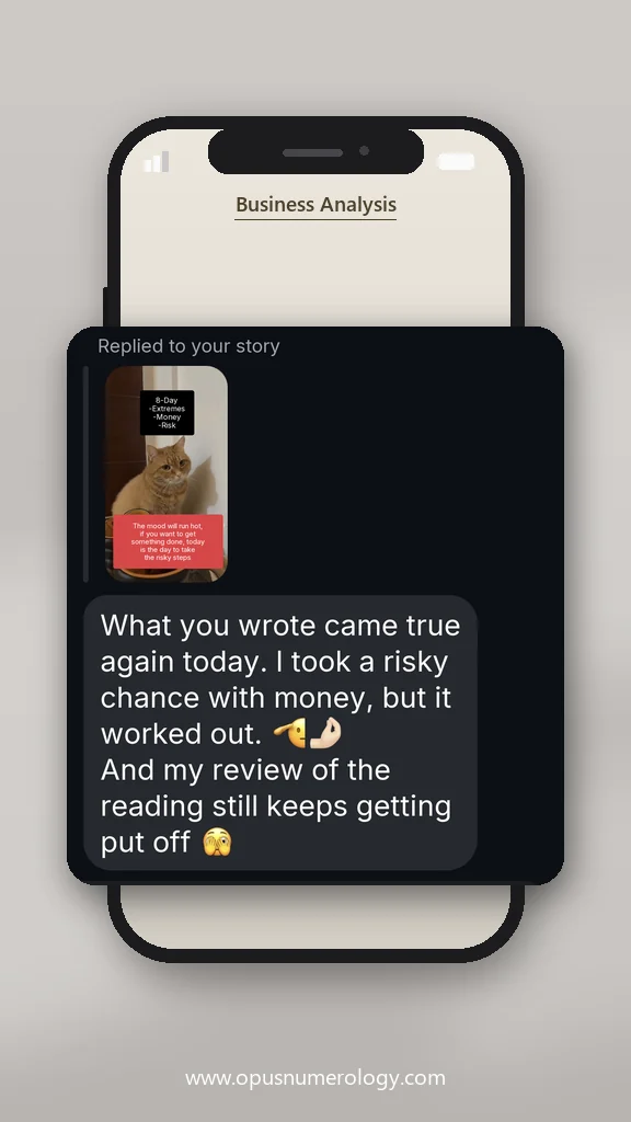 Client review of an Opus numerology reading (message screenshot) – 26 / 38