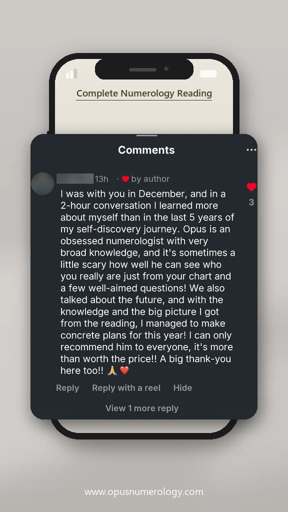 Client review of an Opus numerology reading (message screenshot) – 9 / 38